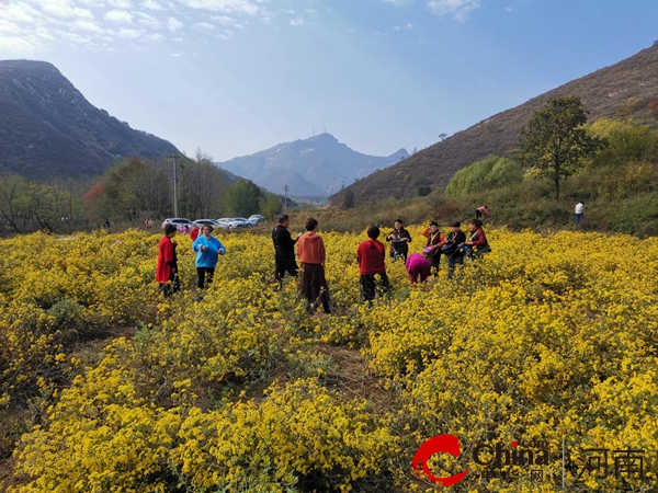 ​驻马店市驿城区朱古洞乡：以文旅之笔 绘就乡村振兴“诗和远方”