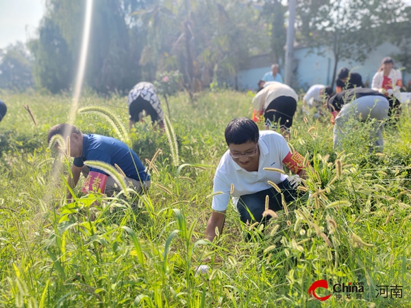 ​西平县专探乡衡坡村组织大学生志愿者参加“美丽家园”暑期集中活动