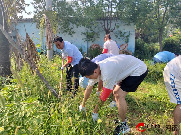 ​西平县专探乡衡坡村组织大学生志愿者参加“美丽家园”暑期集中活动