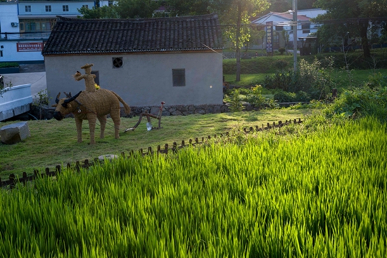 ​新县：夏日乡村美