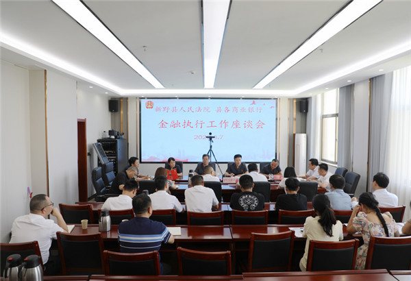 新野县法院召开金融执行工作座谈会