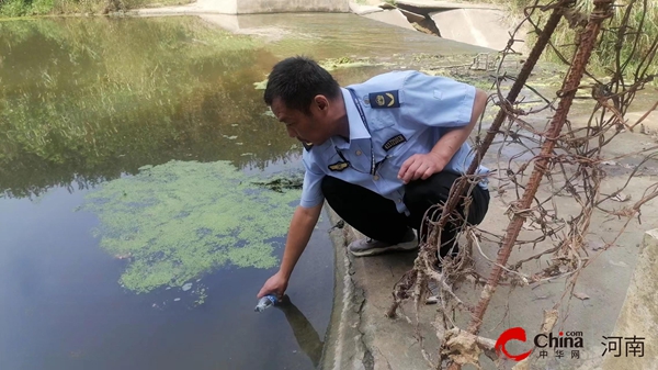 ​驻马店市生态环境局西平分局对西平县洪河流域入河排污口排查整治