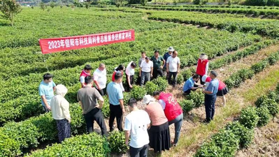 ​信阳市科技局：科普志愿进茶园 茶企茶农乐开颜