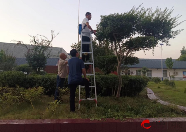​西平县专探乡开展“修剪树枝，美化家园”志愿服务活动