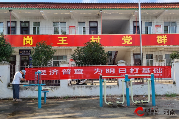 ​西平县师灵镇扎实推进第五次全国经济普查工作