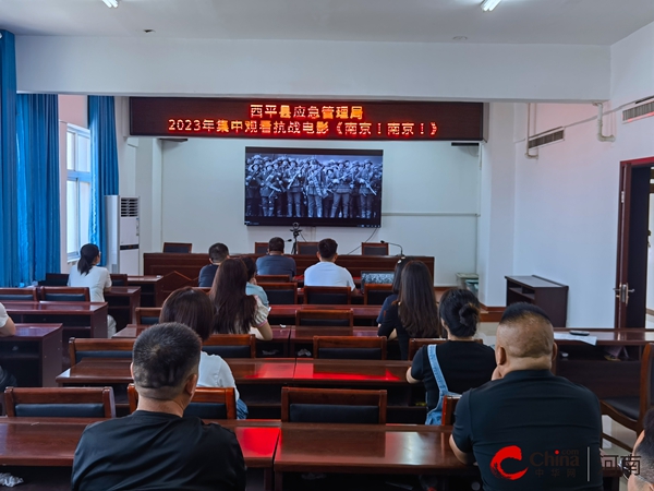 ​西平县应急管理局集中观看抗战电影《南京！南京！》