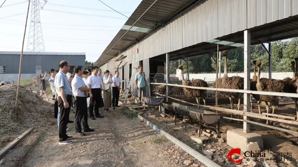 ​西平县召开新录用选调生暨青年干部座谈会