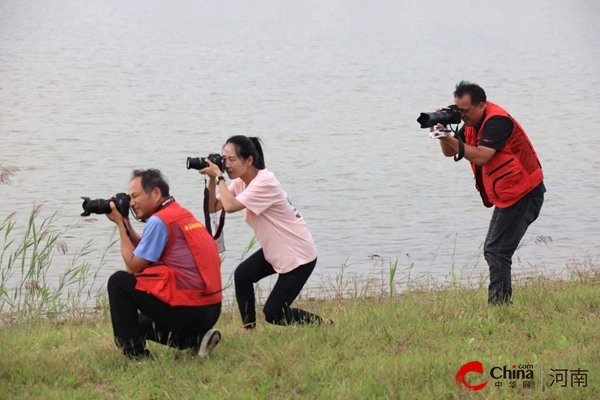 ​西平、新蔡两县摄协在西平县开展摄影采风创作活动